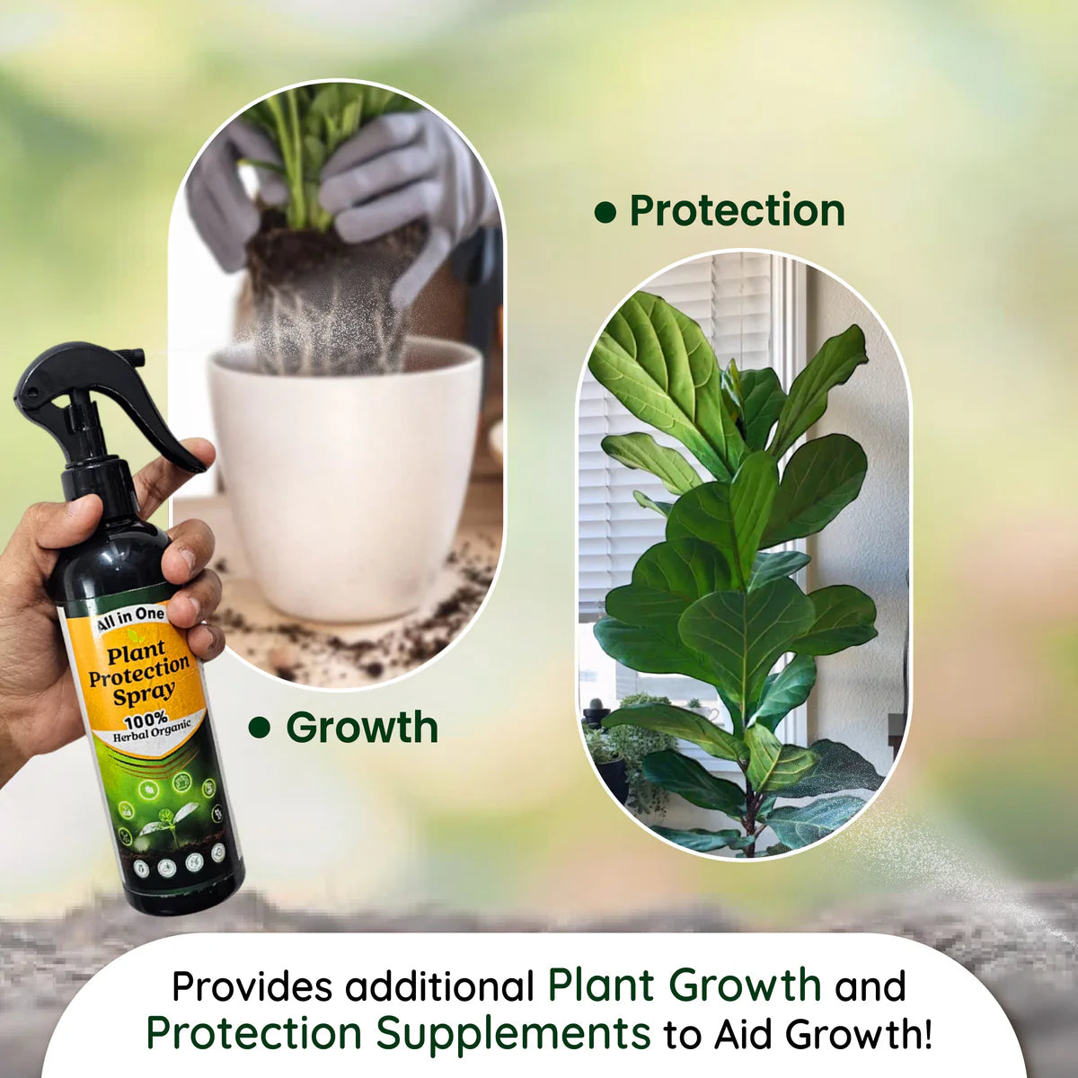 PlantShield™ - All in One Plant Protection Spray 🌿🛡️