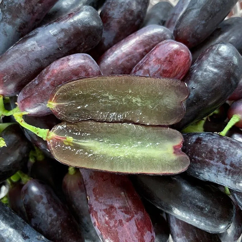 🔥Last Day 50% OFF 🍇 High-Quaility Sapphire Grapes Seeds🍇✨ 98% Germination（High Yield）🌱BUY 1 GET 1 FREE! 🌱🌿