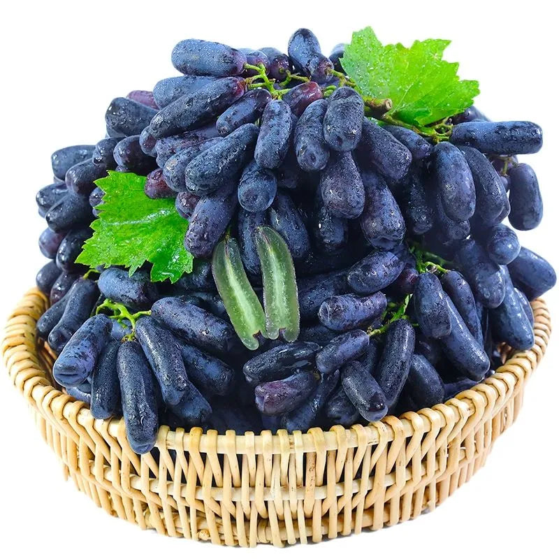 🔥Last Day 50% OFF 🍇 High-Quaility Sapphire Grapes Seeds🍇✨ 98% Germination（High Yield）🌱BUY 1 GET 1 FREE! 🌱🌿